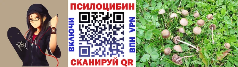 блэк спрут рабочий сайт  Катав-Ивановск  Псилоцибиновые грибы GOLDEN TEACHER  продажа наркотиков 
